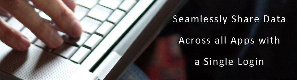 ERP Solution for Spreadsheet Users